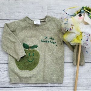 Zara Toddler Sweater